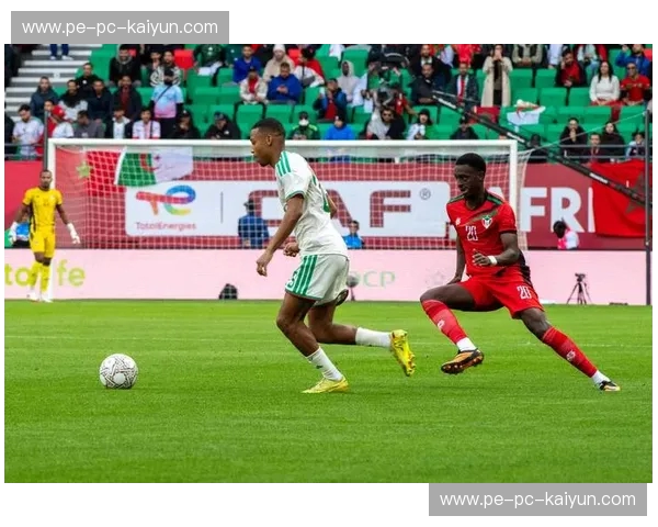 非洲杯经纪人：让你的足球梦想登陆非洲赛场