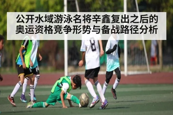 公开水域游泳名将辛鑫复出之后的奥运资格竞争形势与备战路径分析
